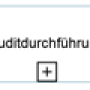 auditdurchfuehrung.png