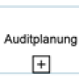 auditplanung.png