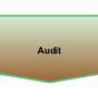 audit.png