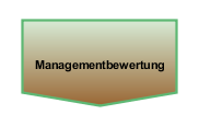 Managementbewertung